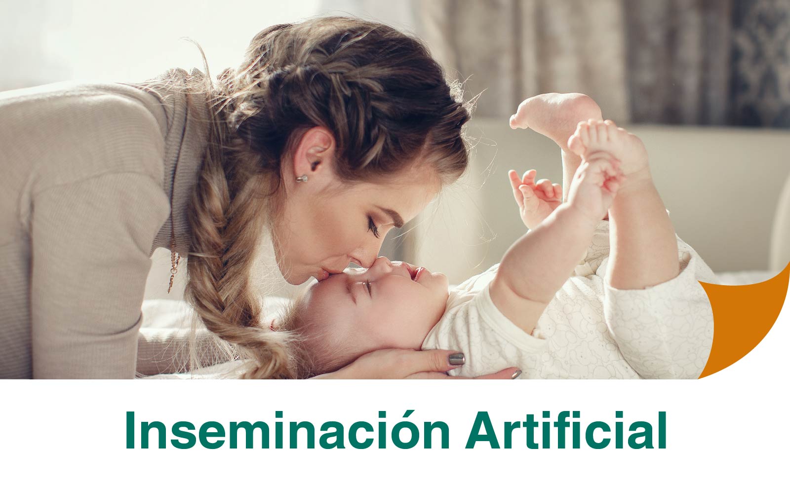 inseminación-caser